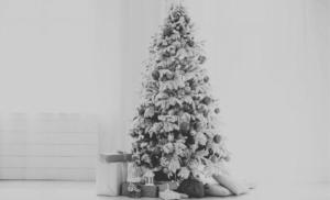 A photograph of a christmas tree